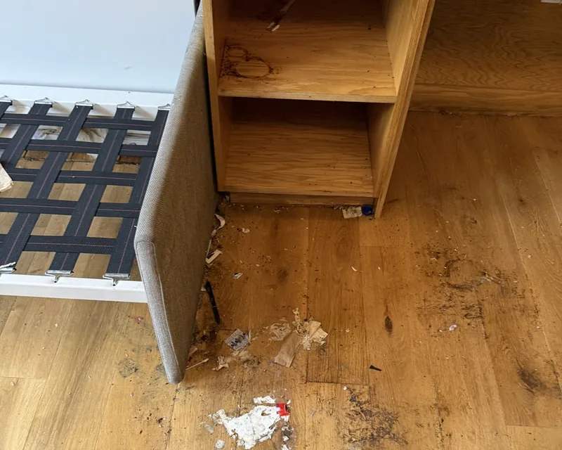 Floor beside the wall bed frame after contents removal, droppings and nesting visible