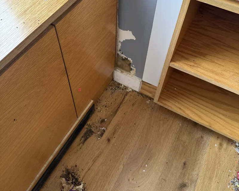 Damaged wall corner beside a window cabinet with rodent droppings concentrated below it